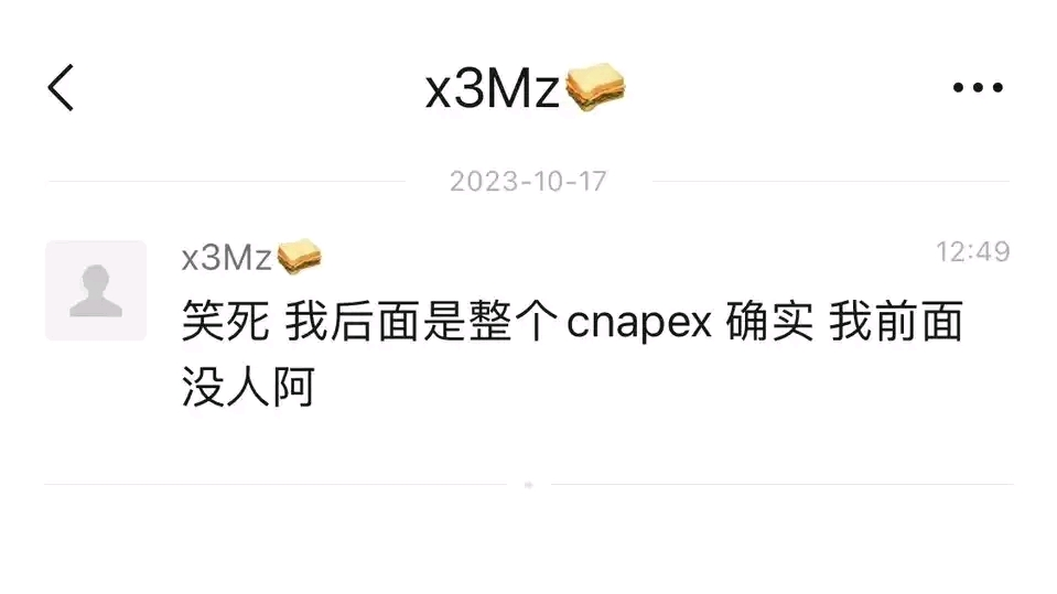 我后面是整个cnapex